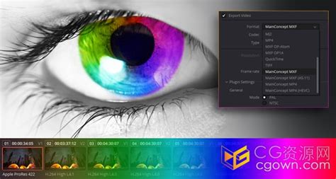 MainConcept Codec Plugin 1.6